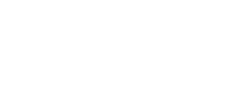 POV Realty